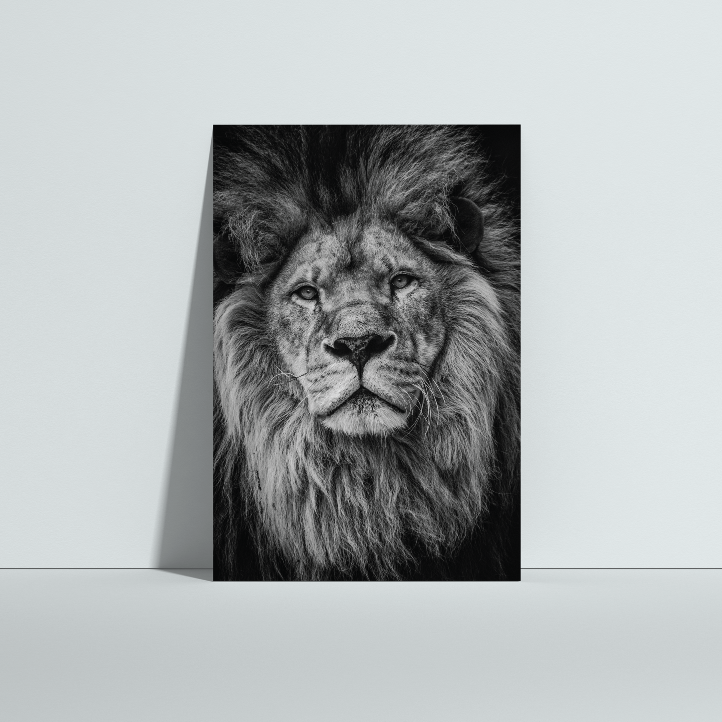 Lion B&amp;W