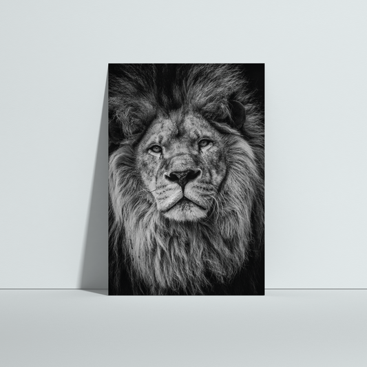 Lion B&W